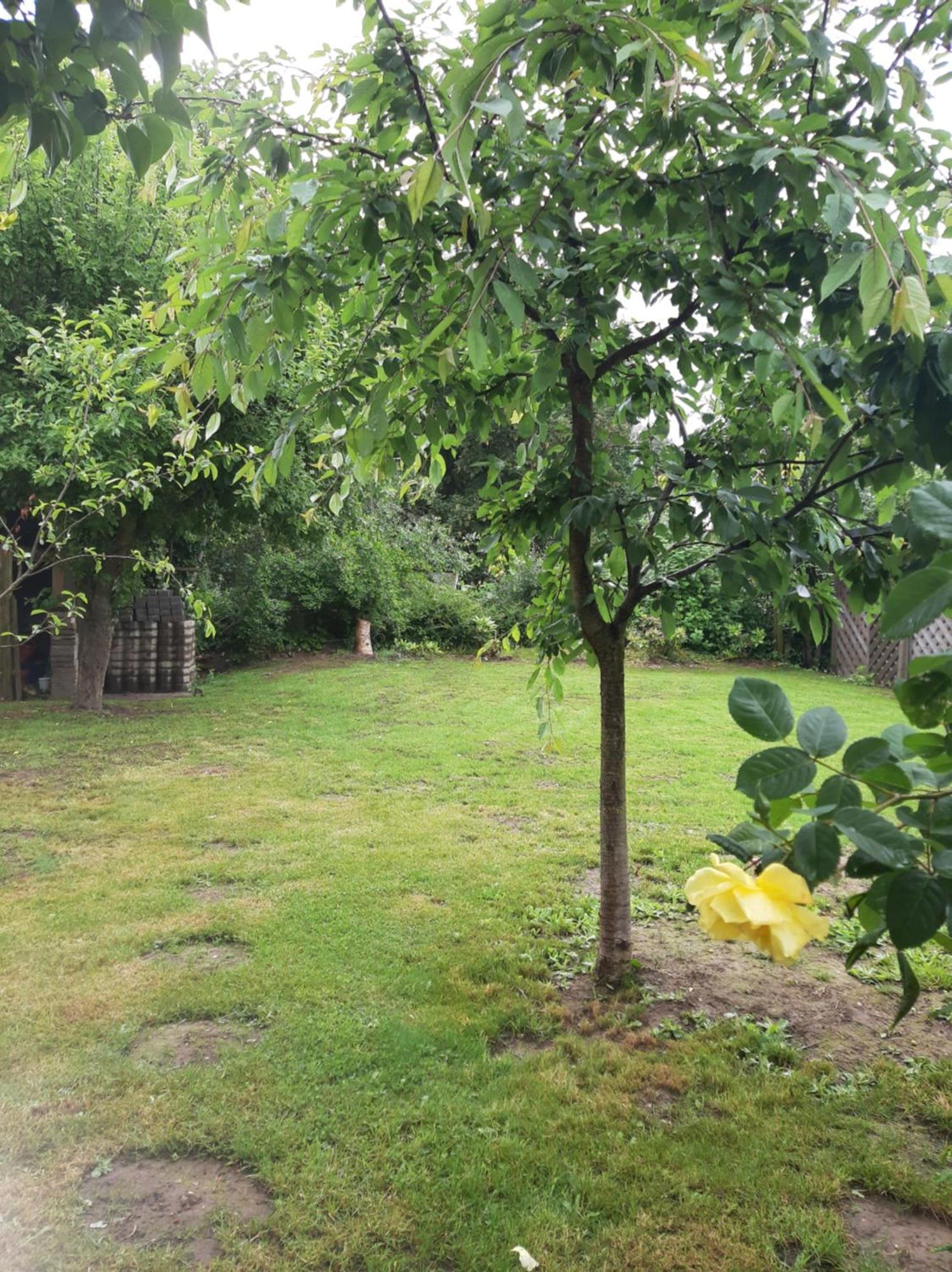 Seeperle Eckernförde Dış mekan fotoğraf